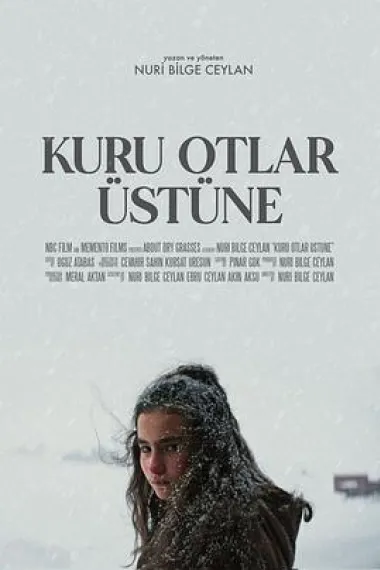 枯草 Kuru Otlar Üstüne (2023) 海报