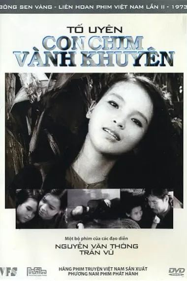 耳环之鸟 Con chim vành khuyên (1962) 海报