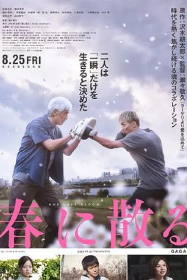 凋零在春天 Haru ni Chiru (2023) 海报
