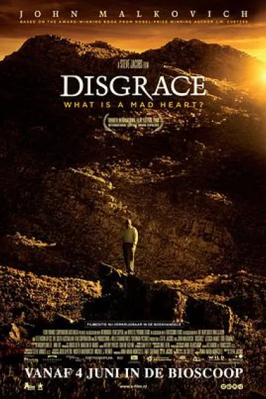 耻 Disgrace (2008) 海报