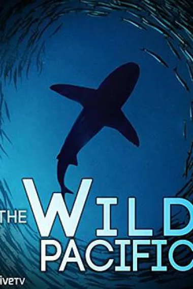 狂野太平洋 The Wild Pacific (2016) 海报