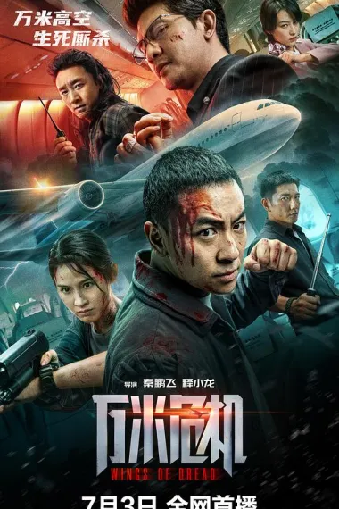 万米危机 (2026) 海报