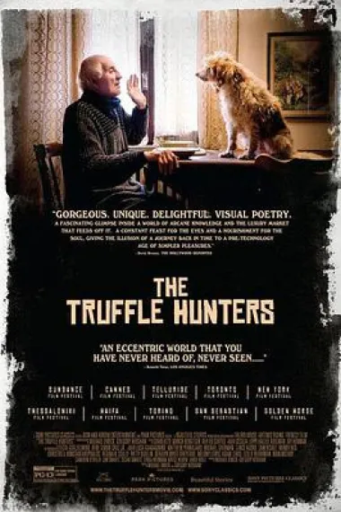 松露猎人 The Truffle Hunters (2020) 海报
