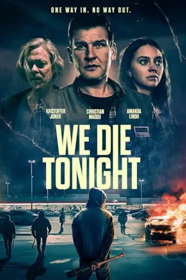 夜殒同舟 (2025) 海报