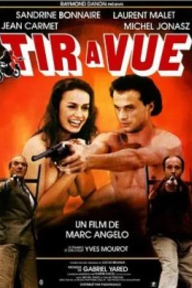 当机立断 Tir à vue (1984) 海报