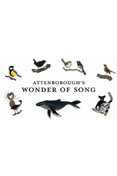 大卫·爱登堡：歌声奇迹 第一季 Attenborough's Wonder of Song (2022) 海报