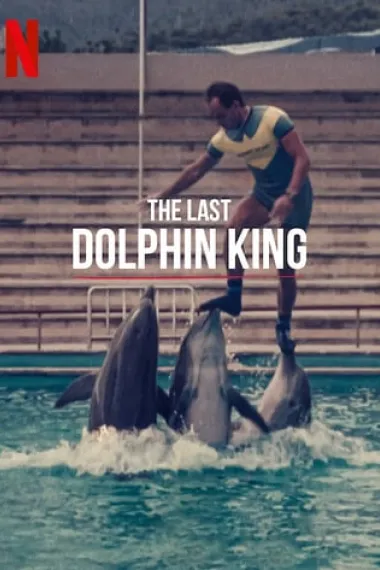 ¿Qué le pasó al rey de los delfines? (2022) 海报