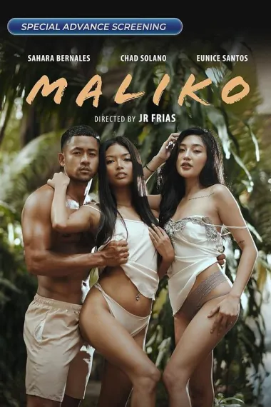 马里科镇 Maliko (2024) 海报