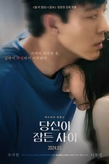 当你沉睡时 While You Were Sleeping (2024) 海报