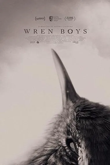 鹪鹩男孩 Wren Boys (2017) 海报
