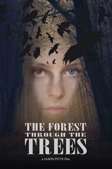 林渊寻咒 The Forest Through the Trees (2025) 海报