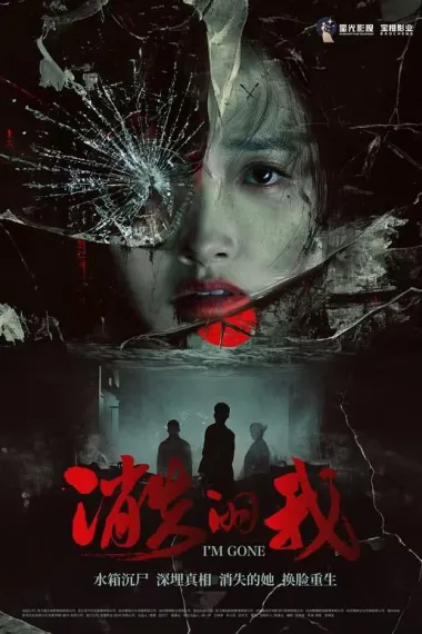 消失的我 (2026) 海报