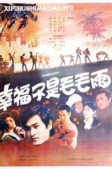 幸福不是毛毛雨 (1987) 海报