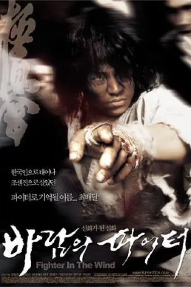 风斗士 Fighter in the Wind (2004) 海报