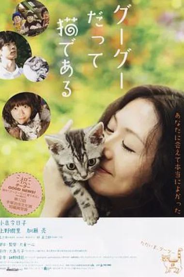 咕咕是一只猫 Gou Gou, the Cat (2008) 海报