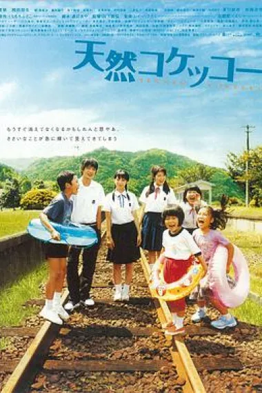天然子结构 A Gentle Breeze in the Village (2007) 海报
