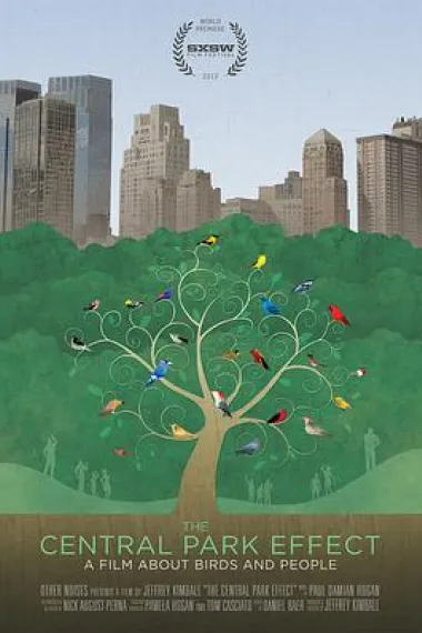 观鸟者：中央公园效应 Birders: The Central Park Effect (2012) 海报