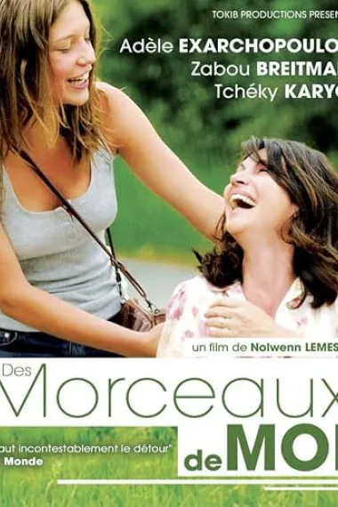 拼凑青春 Des morceaux de moi (2012) 海报