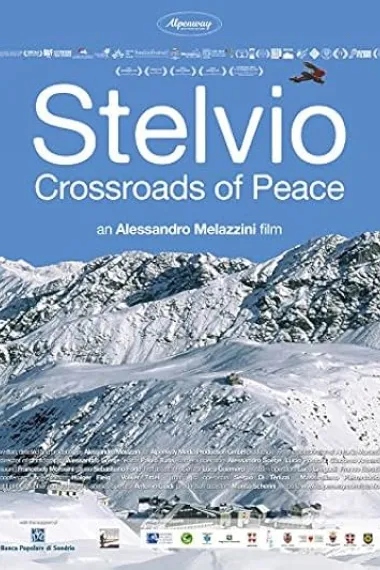 Stelvio. Crocevia della pace (2014) 海报