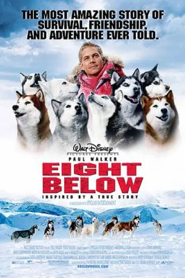 南极大冒险 Eight Below (2006) 海报