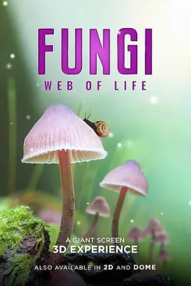 真菌的神秘王国 (2023) 海报