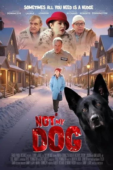 Not My Dog (2026) 海报