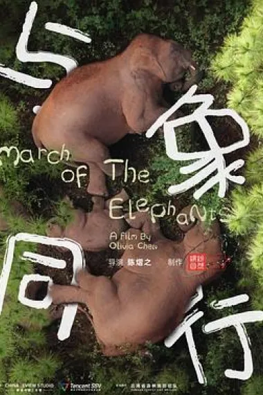 与象同行 March of the Elephants (2022) 海报