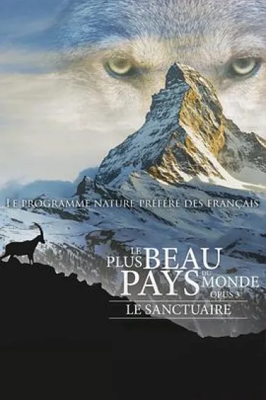 庇护所：阿尔卑斯山求生记 Le plus beau pays du monde 3 (2019) 海报