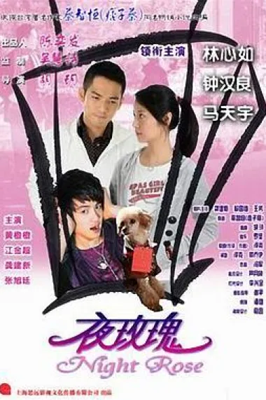 夜玫瑰 Ya mei gui (2009) 海报