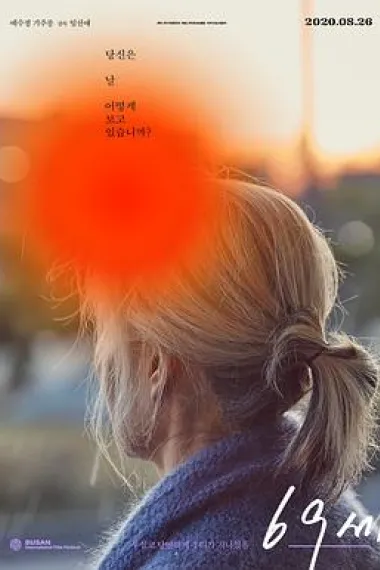 老妇人 An Old Lady (2019) 海报