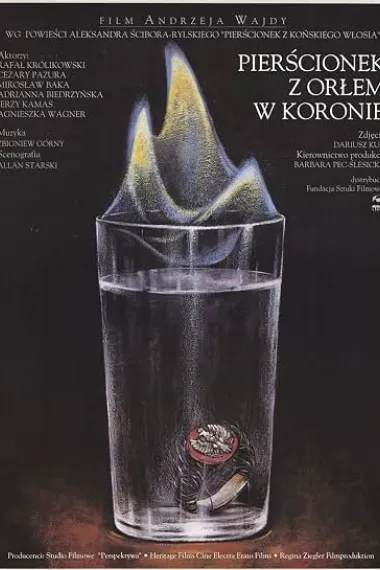 鹰冠戒指 Pierscionek z orlem w koronie (1992) 海报