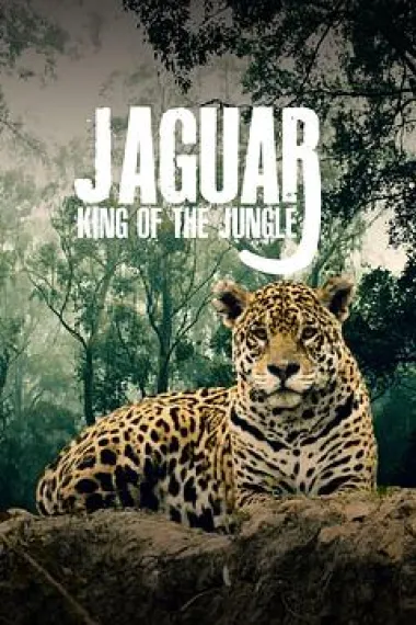 美洲豹的生存挑战 Jaguar: King of the Jungle (2020) 海报