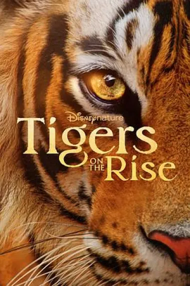 老虎崛起 Tigers on the Rise (2024) 海报