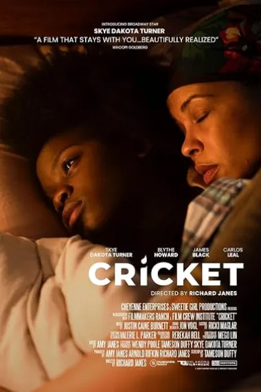Cricket (2024) 海报