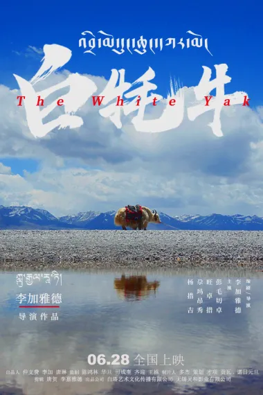 白牦牛 Bai mao niu (2016) 海报