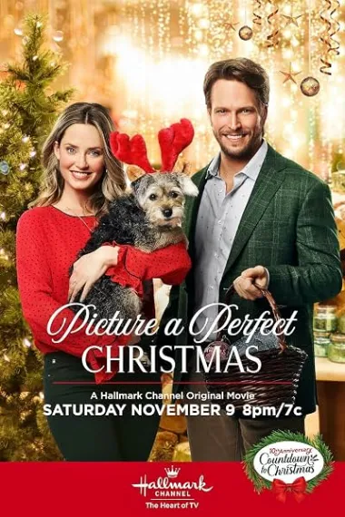 Picture a Perfect Christmas (2019) 海报