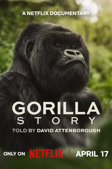 大卫·艾登堡：大猩猩的故事 A Gorilla Story: Told by David Attenborough (2026) 海报