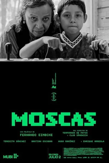 苍蝇 Moscas (2026) 海报