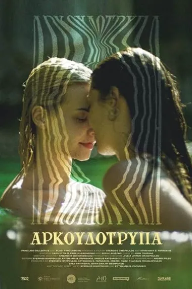 熊洞 Αρκουδότρυπα Arkoudotrypa (2025) 海报