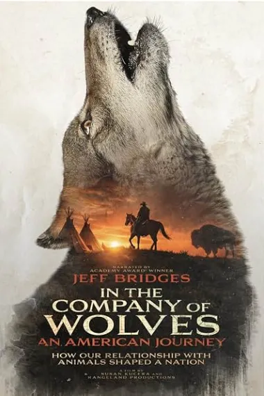 In the Company of Wolves: An American Journey (2026) 海报