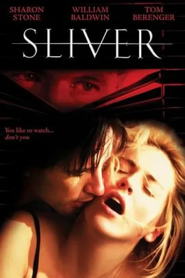 偷窥 (1993) 海报