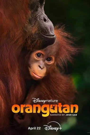 红毛猩猩 Orangutan (2026) 海报
