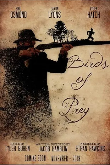 Birds of Prey (2019) 海报