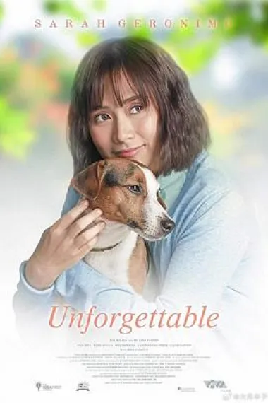 快乐与你相遇 Unforgettable (2019) 海报