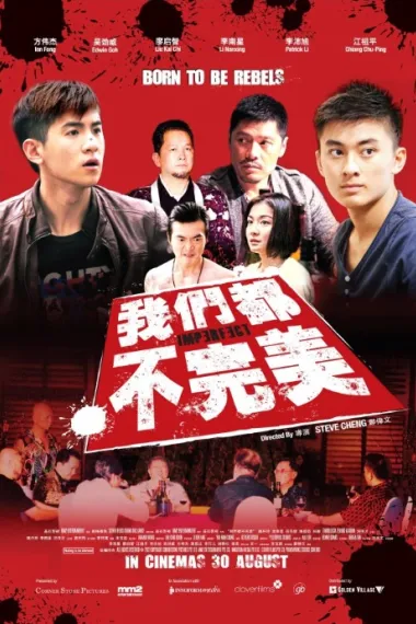我们都不完美 Imperfect (2012) 海报