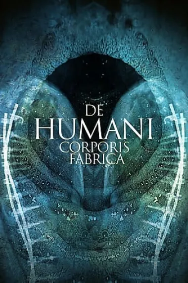 人体结构 De humani corporis fabrica (2022) 海报