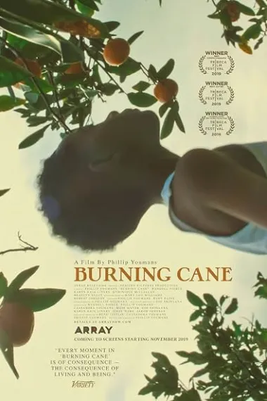 燃烧的甘蔗 Burning Cane (2019) 海报