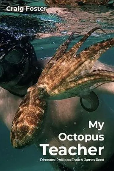 我的章鱼老师 My Octopus Teacher (2020) 海报