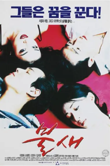 火鸟 Bulsae (1997) 海报