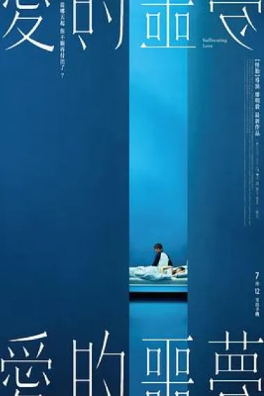 爱的噩梦 Ai de e meng (2024) 海报